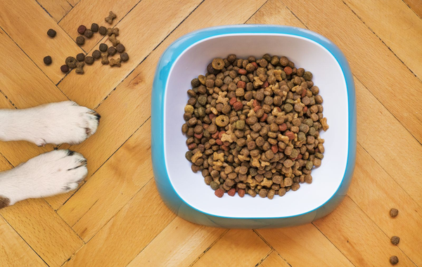 Espolvoréalo sobre su comida