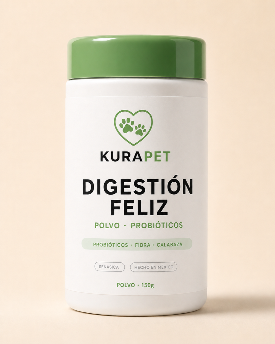 DIGESTIÓN FELIZ