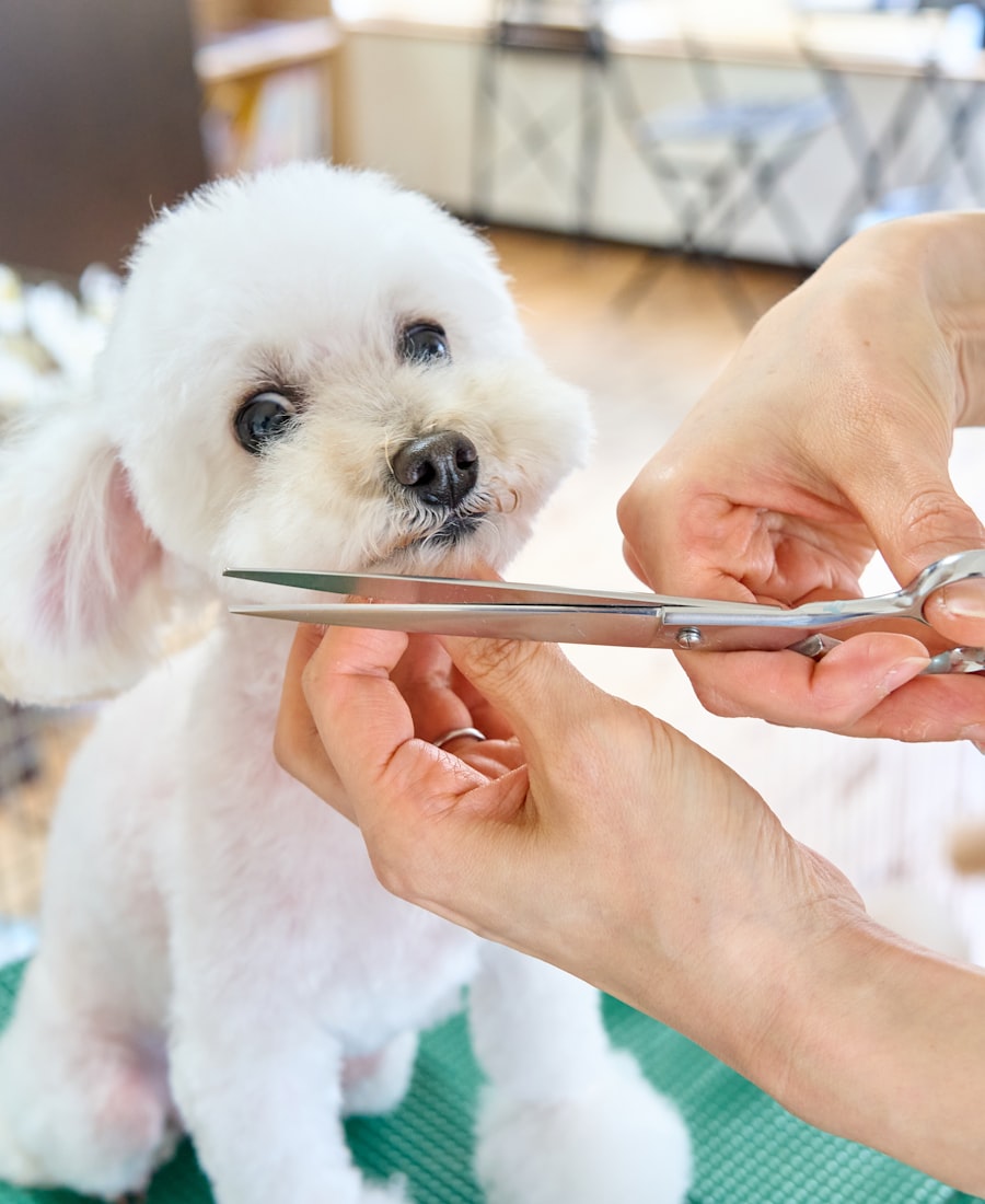 Mascota feliz con PELO BRILLANTE