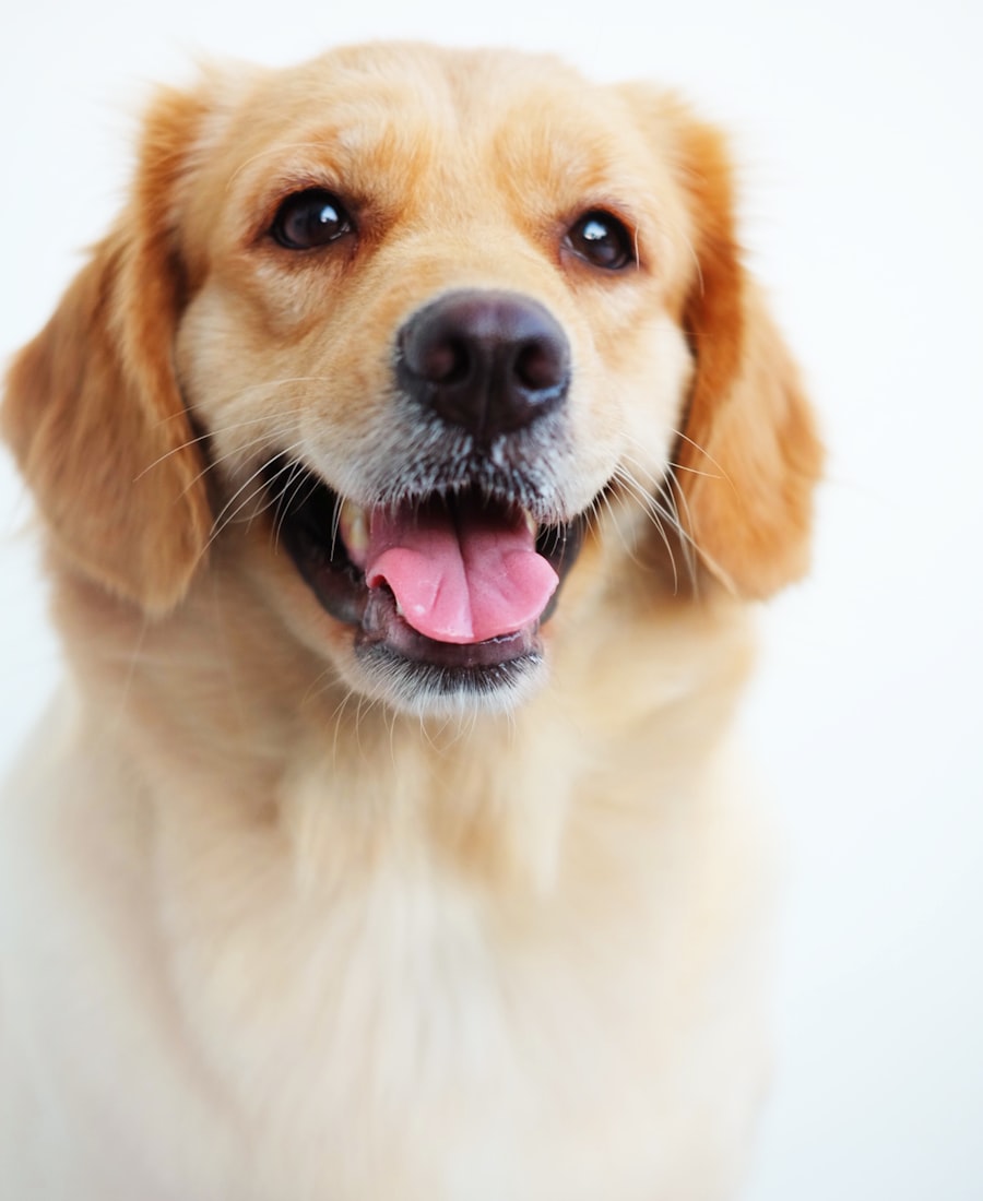 Mascota feliz con ALIENTO PURO