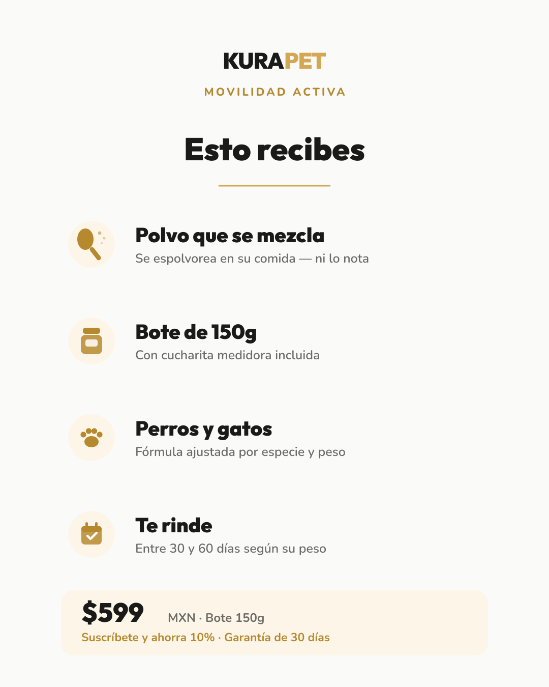 MOVILIDAD ACTIVA — esto recibes: formato, tamaños y precio