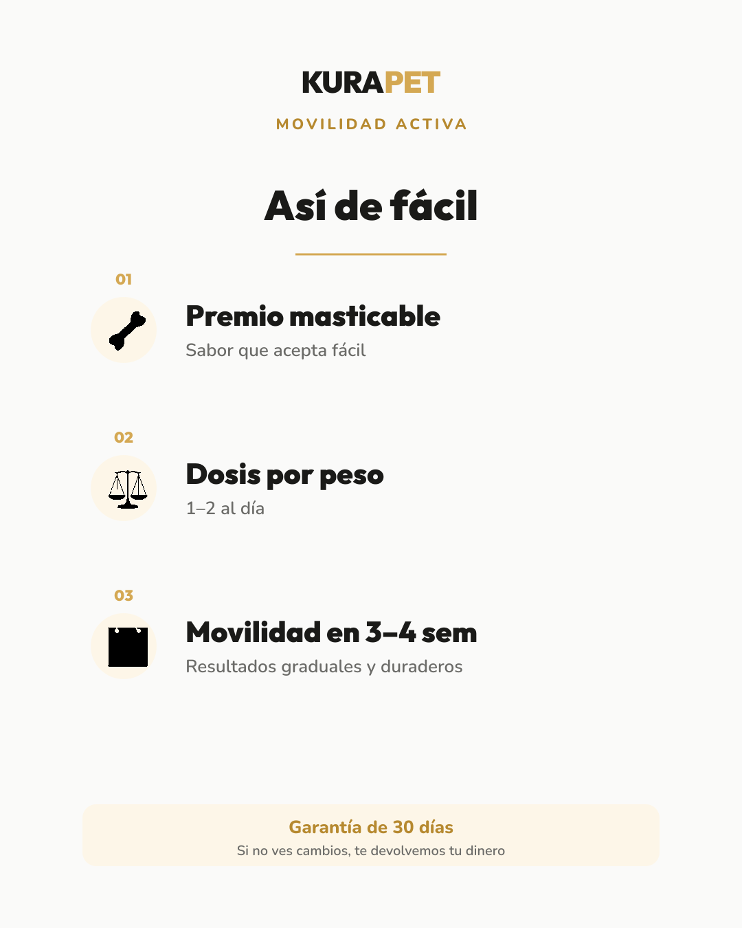 MOVILIDAD ACTIVA — cómo se usa