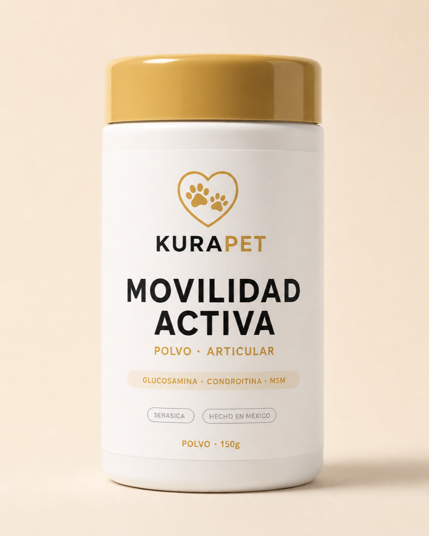 MOVILIDAD ACTIVA